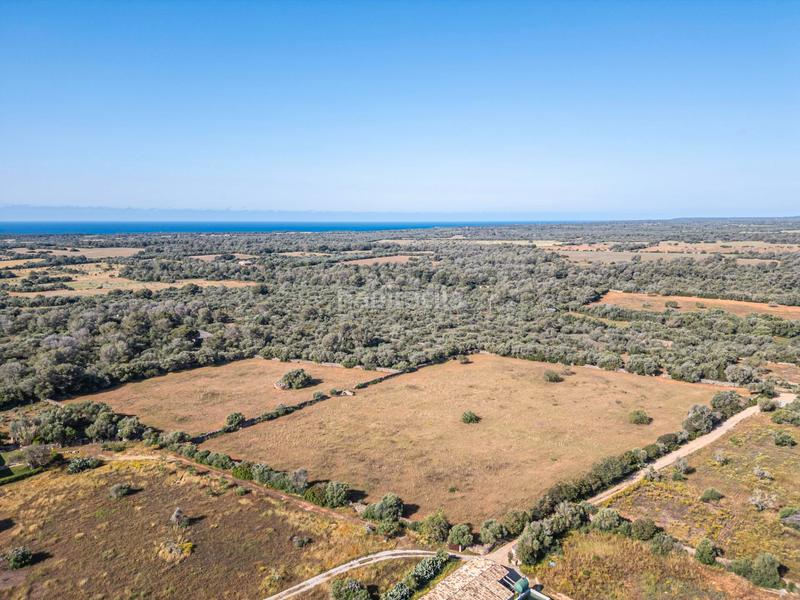 Foto f3b89c6b-5cfb-4f89-a37a-36f847e1b568. Fondo rustico in Llucmajor interior Llucmajor