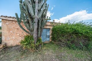 Rural plot in Sencelles. Dos fincas edificables en venta en sencelles, mallorca