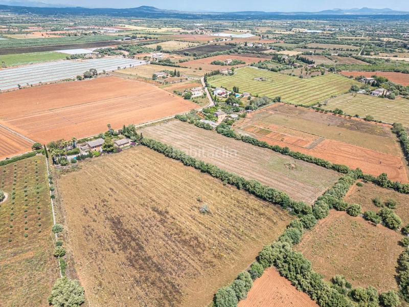 Foto 1eab8473-9dde-439d-b115-20342c1ff9d6. Fondo rustico in Felanitx poble Felanitx