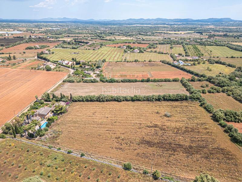 Foto 3c3fe893-9ae9-43d1-9220-4e201ad114ef. Fondo rustico in Felanitx poble Felanitx