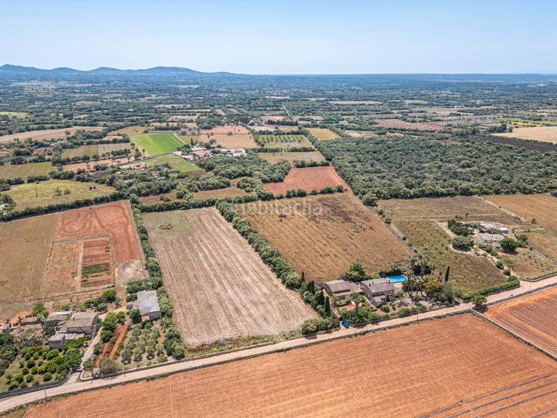 Foto 3c5c39f5-4e7a-40b8-8817-4b4e2ad96d6e. Fondo rustico in Felanitx poble Felanitx