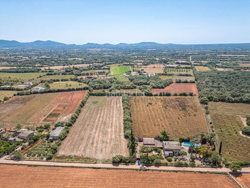 Foto 4148fa31-eded-44ae-9bc1-a99a228f5285. Fondo rustico in Felanitx poble Felanitx