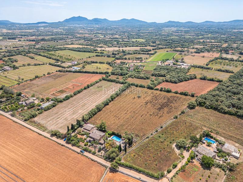 Foto 4242e665-7e63-49bd-b253-94a55557abce. Fondo rustico in Felanitx poble Felanitx