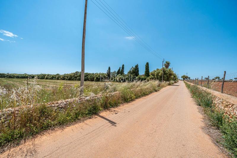 Foto 6315af88-6533-43b6-9b4c-a6f88aae0577. Fondo rustico in Felanitx poble Felanitx