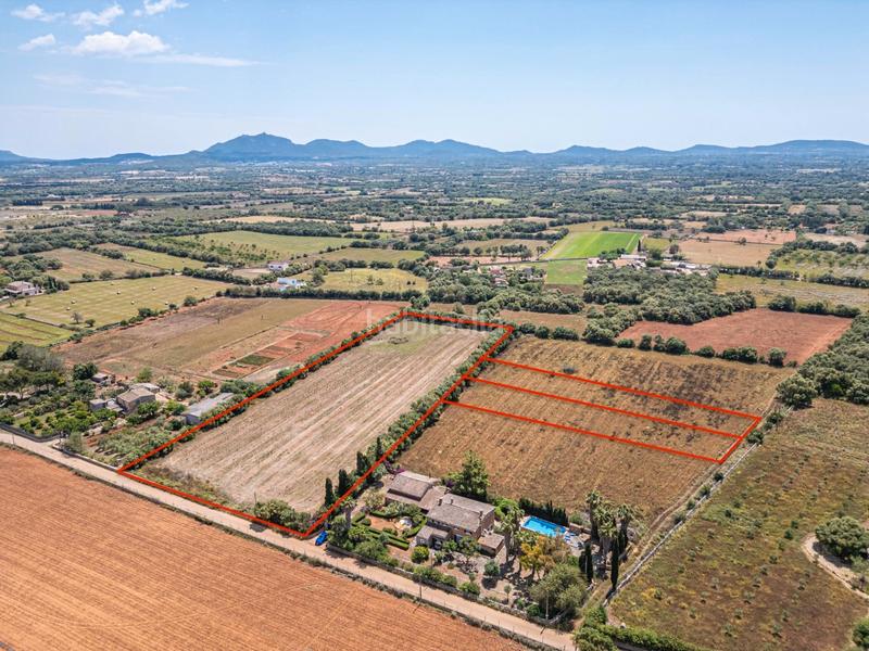 Foto 752fb709-df0c-4db8-9e30-e55b4f878895. Fondo rustico in Felanitx poble Felanitx