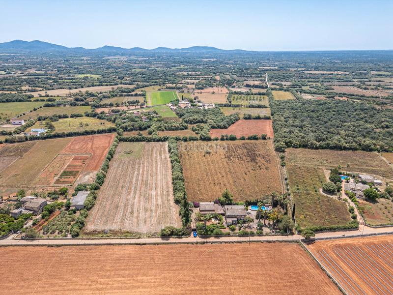 Foto 82a0e212-f8b8-4803-b2aa-bce528cd3698. Fondo rustico in Felanitx poble Felanitx