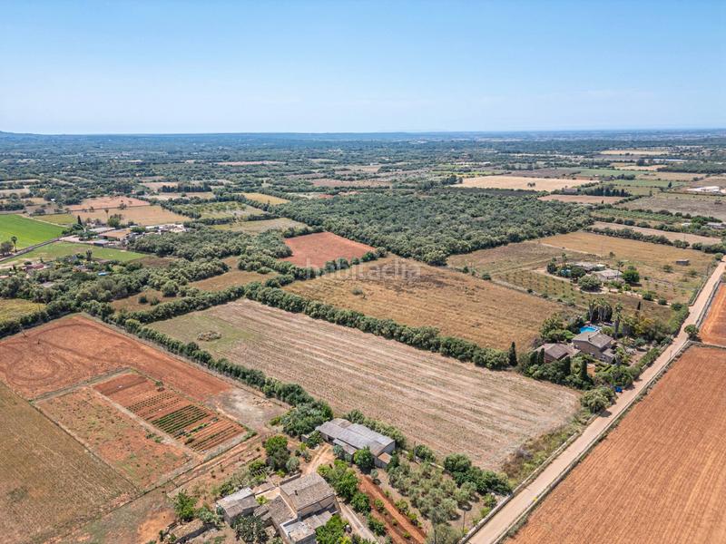 Foto 8868bd0a-f4bb-463f-8bf1-48f15197bde8. Fondo rustico in Felanitx poble Felanitx