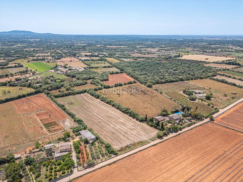 Foto 8efd3a2f-f746-47db-9c24-a78c5c9ec7c0. Fondo rustico in Felanitx poble Felanitx