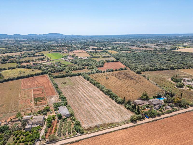 Foto 992583d5-4759-4752-9c9e-79194e1b3c52. Fondo rustico in Felanitx poble Felanitx