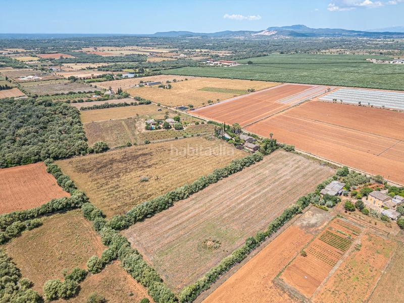 Foto 9b6a7ec7-195f-428c-8942-bebdbc5ace1c. Fondo rustico in Felanitx poble Felanitx