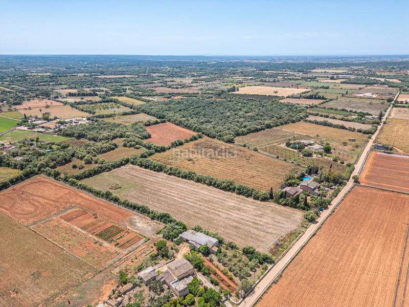 Foto afee471a-e519-4919-bc15-44e8f223bc59. Fondo rustico in Felanitx poble Felanitx