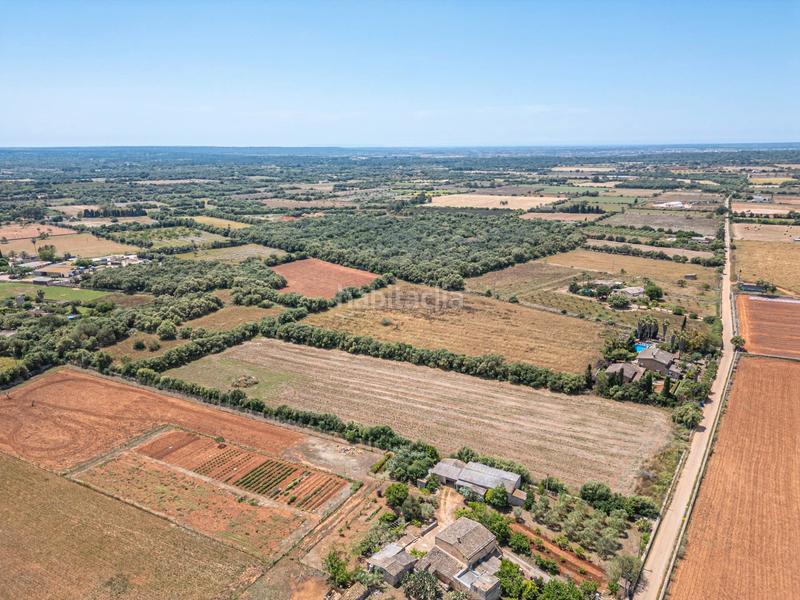 Foto d03d94d4-0e54-48bd-be30-da9c29a09b1a. Fondo rustico in Felanitx poble Felanitx