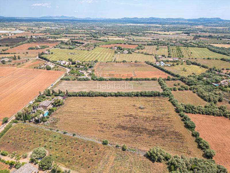 Foto dc64c309-b1d2-4ec3-be31-8cb0315cde9a. Fondo rustico in Felanitx poble Felanitx