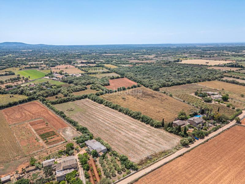 Foto efa0d894-9934-4389-9507-9e18bf2b66d5. Fondo rustico in Felanitx poble Felanitx