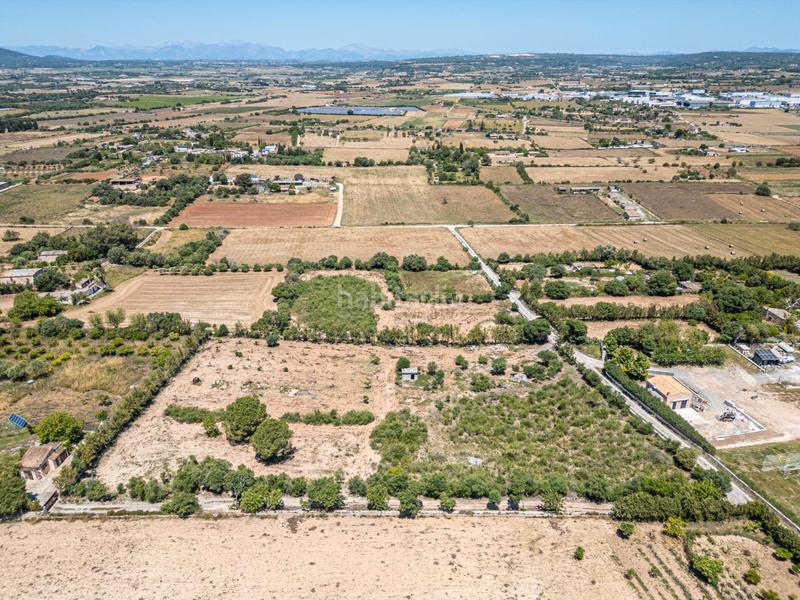 Foto 0b718800-15d8-4b39-92c2-dbebb059367d. Finca rústica a Manacor centre Manacor