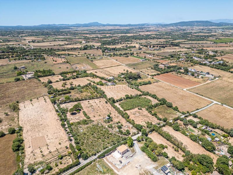 Foto 13488cbc-8fe6-4604-8ebd-8195440b44e4. Finca rústica a Manacor centre Manacor