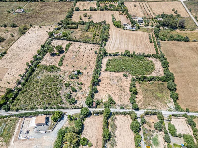 Foto 2286fead-46c4-4729-9a64-15f985828b26. Finca rústica a Manacor centre Manacor