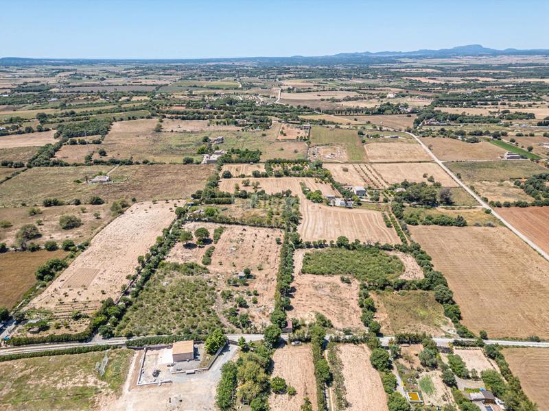 Foto 348d40e1-fe3c-407e-bce5-6af7a51d329b. Finca rústica a Manacor centre Manacor