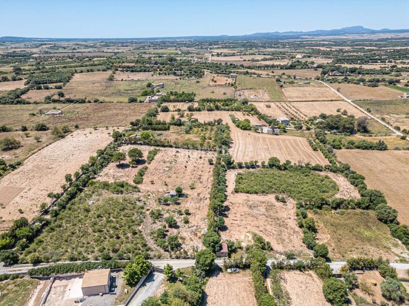 Foto 352f49f8-65b7-40ad-9f83-5cbb30d3529b. Finca rústica a Manacor centre Manacor