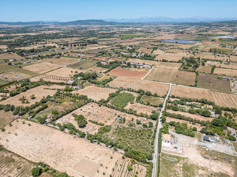 Foto 4007cb28-f451-4d2a-935c-fc957bda4a7d. Finca rústica a Manacor centre Manacor