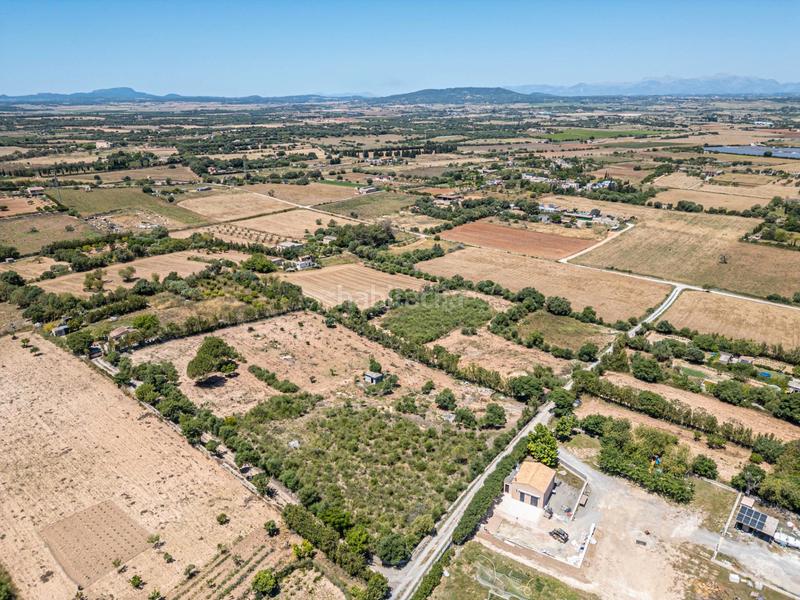 Foto 5258f020-4848-46b9-840b-6ffd6b1aa67d. Finca rústica a Manacor centre Manacor