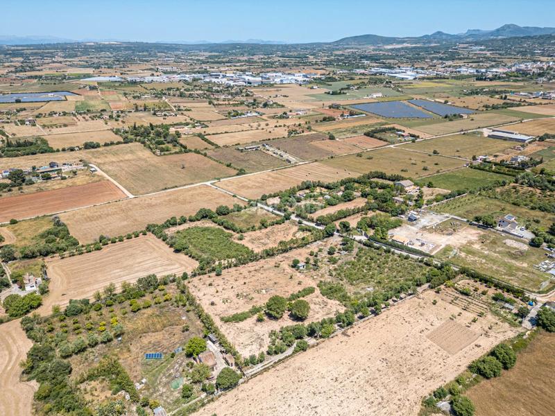 Foto 7edf068e-6c7b-4470-8488-f1b9e3202923. Finca rústica a Manacor centre Manacor