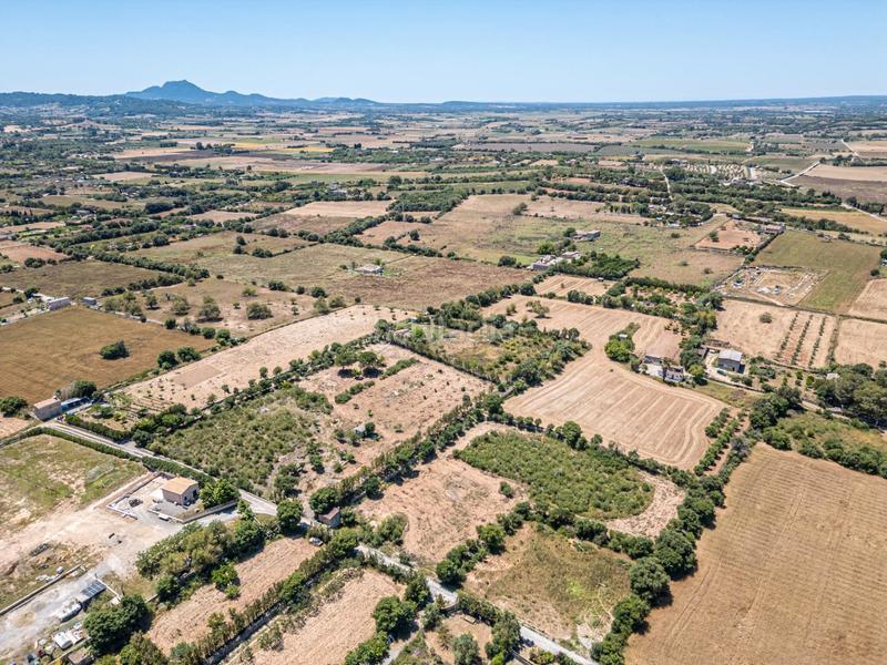 Foto 9ac58a48-c10f-4491-b3af-d008a96282ba. Finca rústica a Manacor centre Manacor