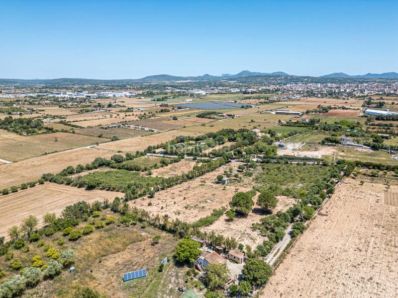 Foto af375a9d-40fe-41d6-bb53-0e1a1658fd1c. Finca rústica a Manacor centre Manacor