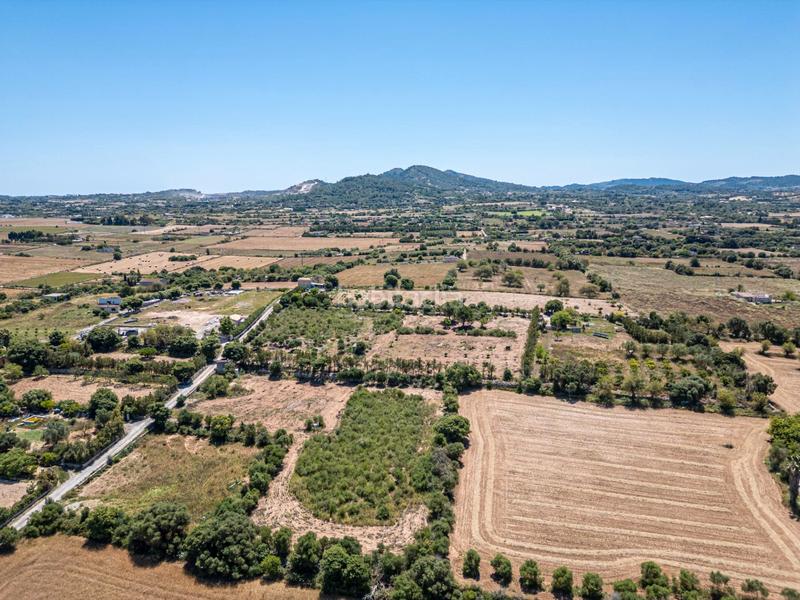 Foto c148af07-6c98-4c2d-9c7f-edd705ede081. Finca rústica a Manacor centre Manacor