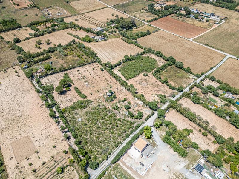 Foto c91a01f1-c24f-44da-b489-a09b172e9fdc. Finca rústica a Manacor centre Manacor