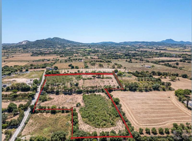 Foto cc8aca40-5bd5-4231-92dd-3544150814b9. Finca rústica a Manacor centre Manacor