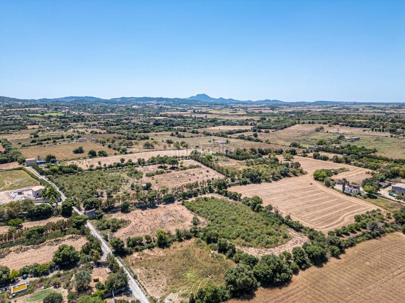 Foto f23efadf-b11b-4c4a-8247-a628e93558ed. Finca rústica a Manacor centre Manacor