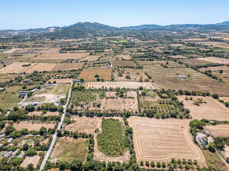 Foto f5505bb3-8e92-483b-ba30-9b7c08034a45. Finca rústica a Manacor centre Manacor