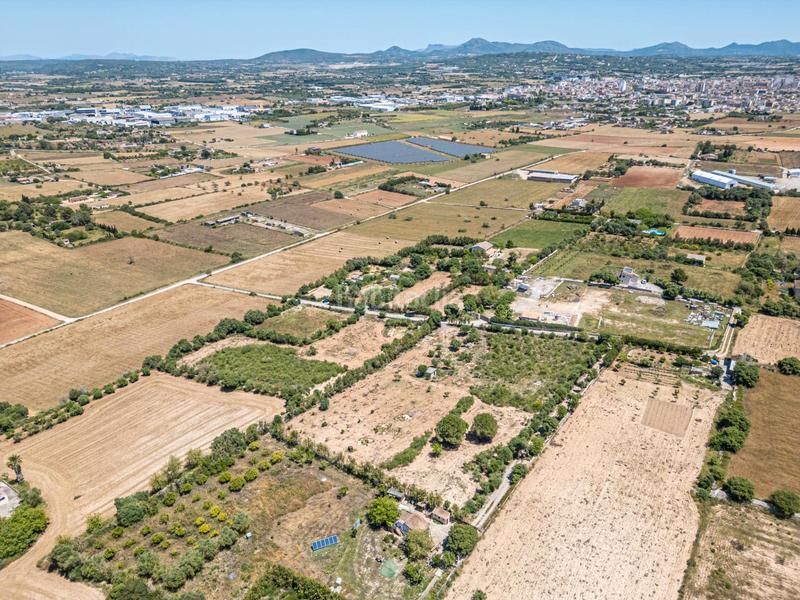 Foto fcab57f7-f7af-479a-9900-444a25727e1e. Finca rústica a Manacor centre Manacor