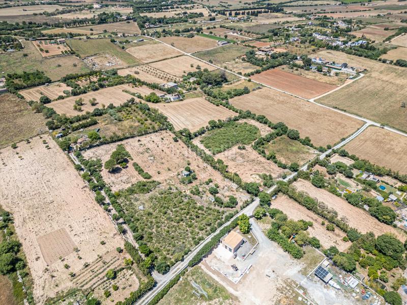 Foto fdf929ad-6cb1-4c25-b02a-b430f0f863e2. Finca rústica a Manacor centre Manacor