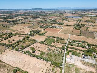 Propriété à Manacor Centre. Terreno rústico urbanizable en manacor zona mirabo con proyecto