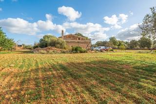Country house in L´Olivera. Finca rustica con casa estilo mallorquín en s'aranjassa