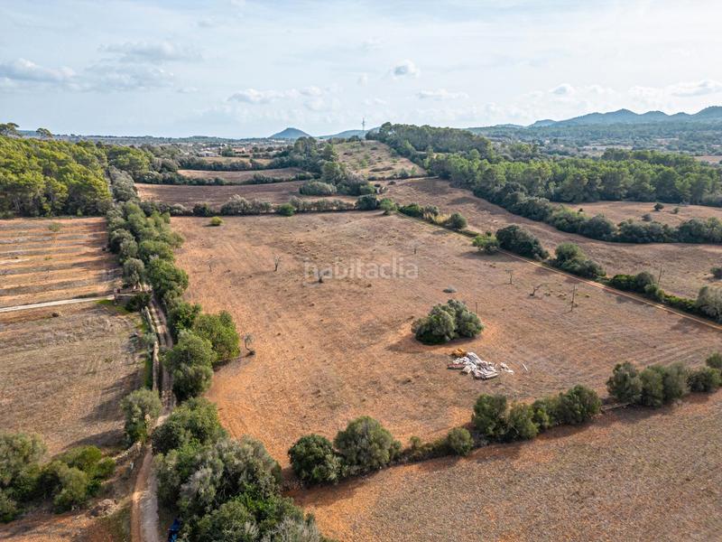 Foto a86de0e1-8cbd-4de0-b213-d474366f7c9e. Chalet  en son prohens en Felanitx poble Felanitx