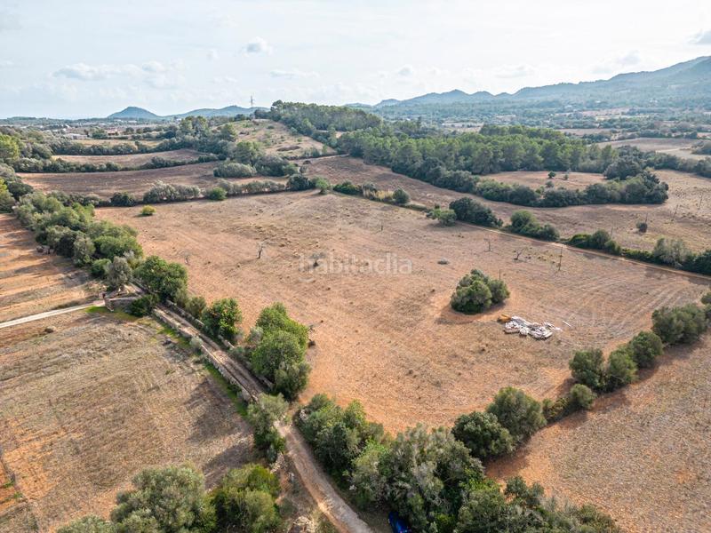 Foto bf8bb1d2-f420-4682-beff-8e1b6c2f5793. Chalet  en son prohens en Felanitx poble Felanitx