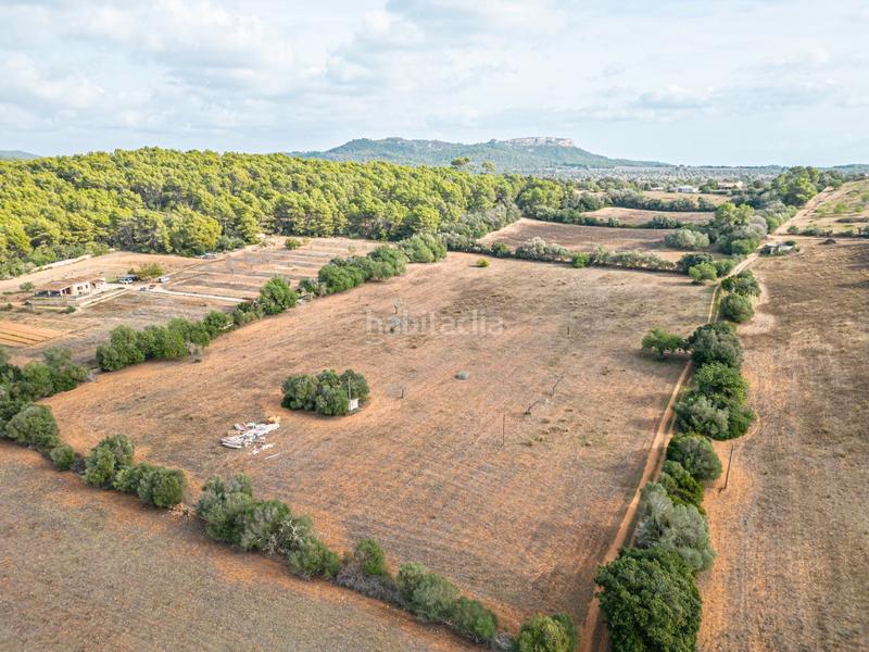 Foto fee4befd-f1db-4754-8552-d37d60761f19. Chalet  en son prohens en Felanitx poble Felanitx
