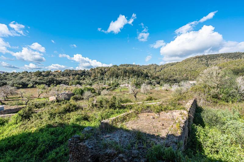 Foto 196f6d36-56e1-4459-ac7c-873ed9511091. Masia a Artà poble Artà