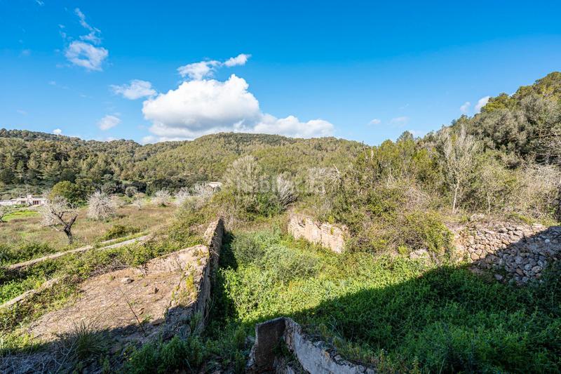 Foto 4d37ab6c-5383-461e-a5f4-e37c76de24bd. Masia a Artà poble Artà