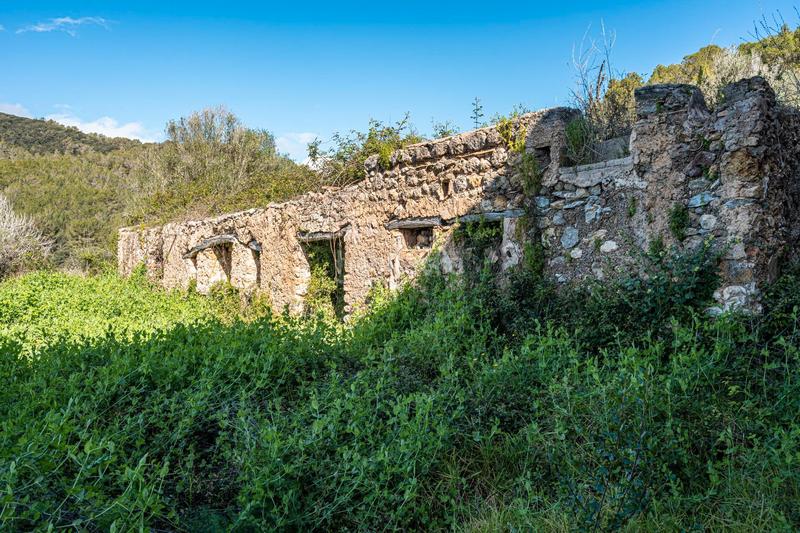 Foto 5e12ab20-f4de-4370-aff3-8c727ffe13f6. Masia a Artà poble Artà