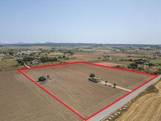 Rural plot in Petra. Terreno urbanizable , residencial unifamiliar