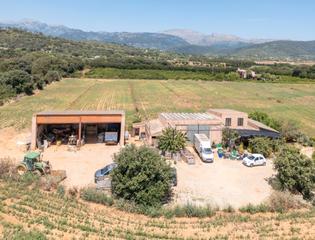 Masia  Carrer major. Finca rstica en buger