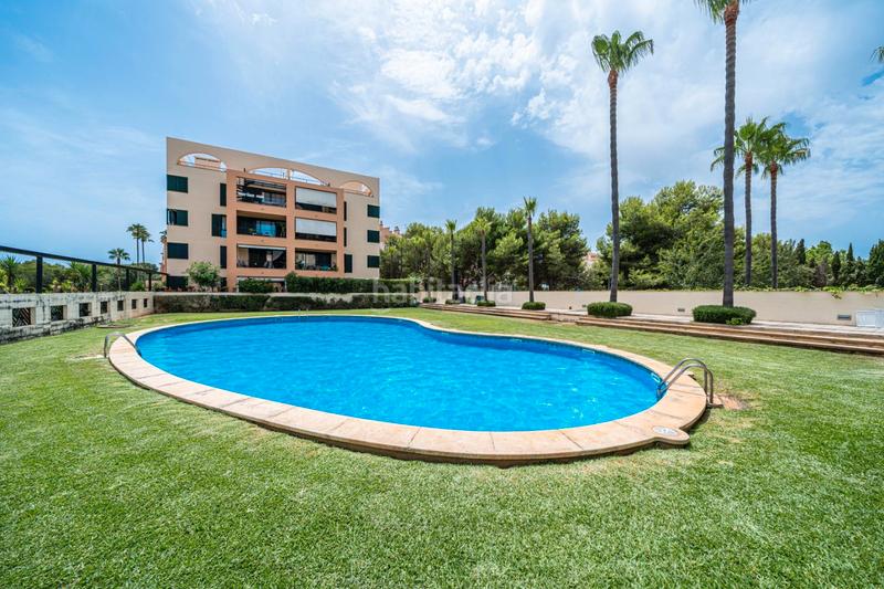 Foto 07fc7e8a-eceb-4942-8c6f-922c4cfe76b1. Piano terra con parcheggio piscina in Sant Llorenç des Cardassar