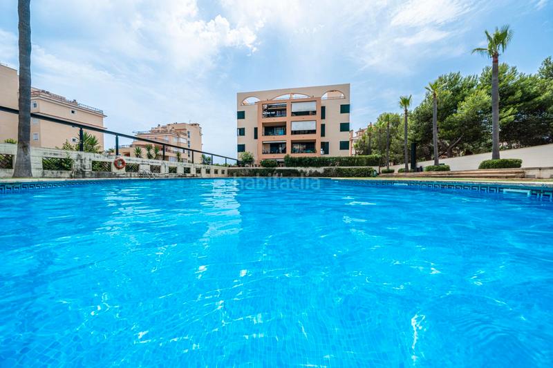 Foto 28dd1a45-637e-4919-9c56-07e6b77d11c5. Piano terra con parcheggio piscina in Sant Llorenç des Cardassar