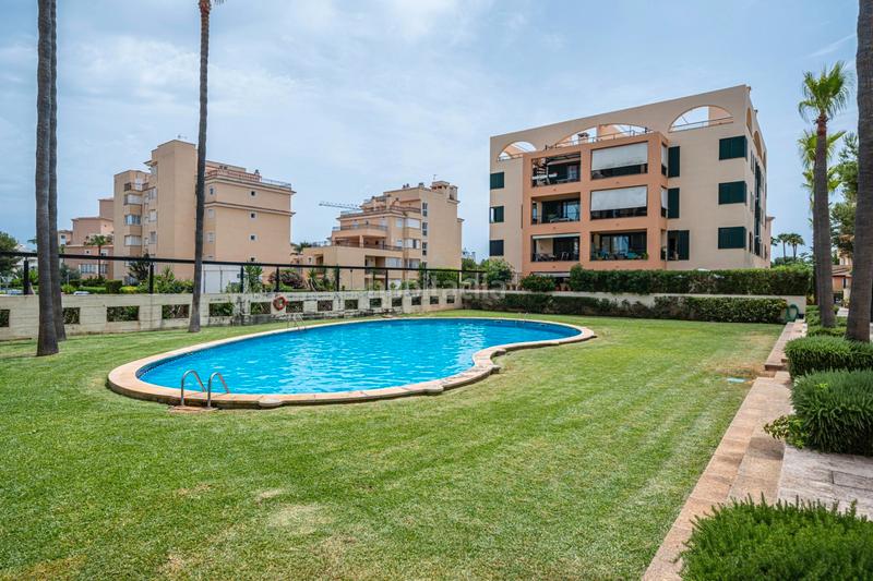 Foto 6ae435c9-6159-40f3-8fdb-33b0c6c9d72e. Piano terra con parcheggio piscina in Sant Llorenç des Cardassar