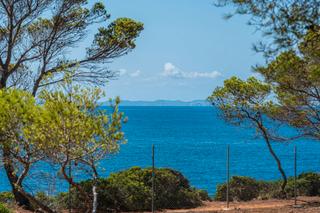 Rural plot in Cala Pi-Vallgornera. Oportunidad única en el pas de vallgornera – parcela urbana de 9