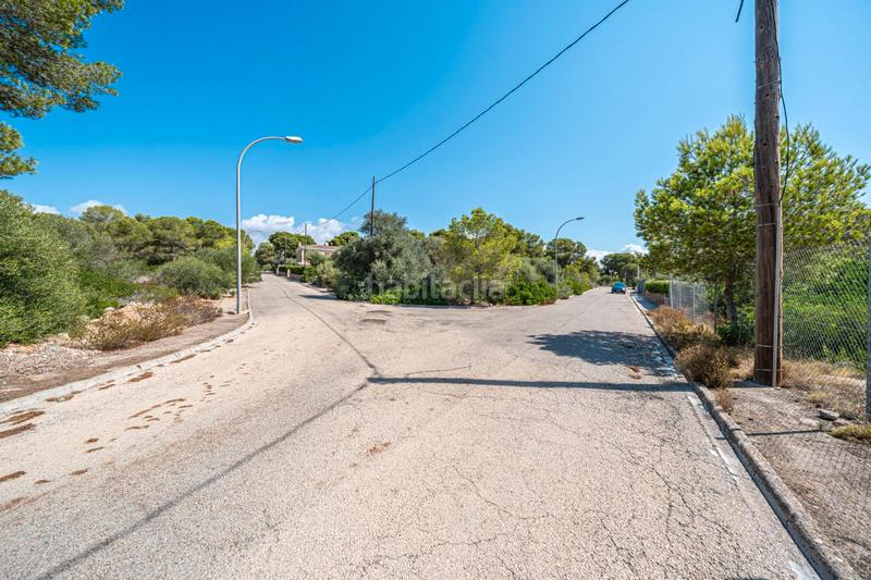 Foto 07721ad4-7e57-4c90-9241-f4710a4de915. Finca rústica a Cala Pi-Vallgornera Llucmajor